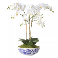 Rogue Artificial Phalaenopsis Orchid Pot Plant | White 46x46x66cm